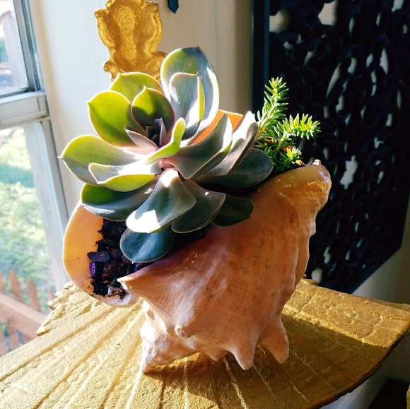 Classic Wears, Vintage Finds - Picture 1 of 4